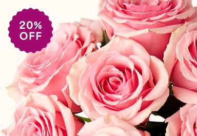 Header navigation sub menu